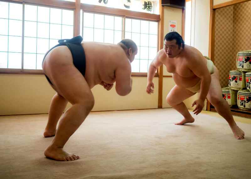 Sumo Wrestling: Experience Sumo Wrestling in Tokyo with Chanko Lunch Included