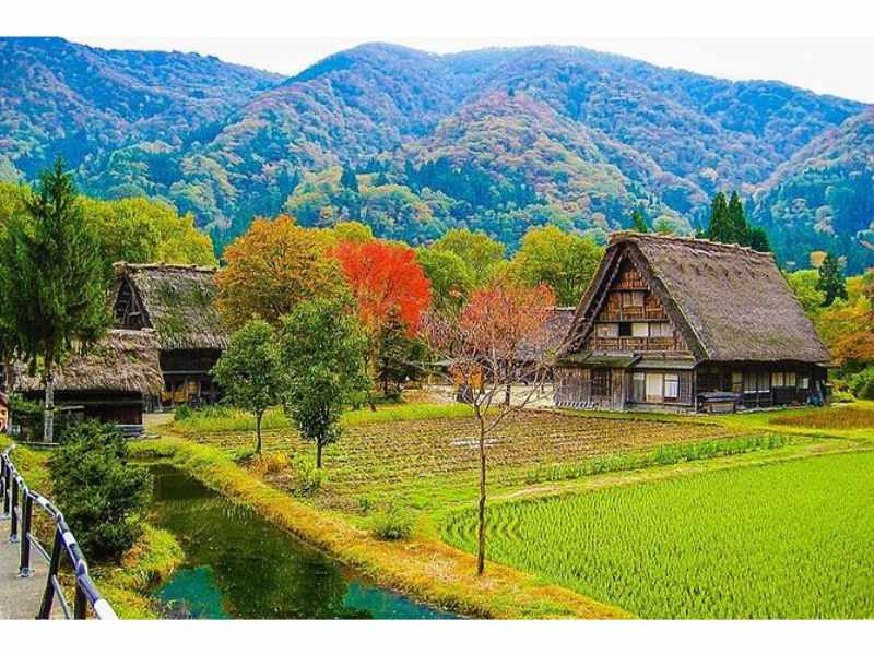 Shirakawago Day Trip: Private Shirakawago Day Trip from Takayama