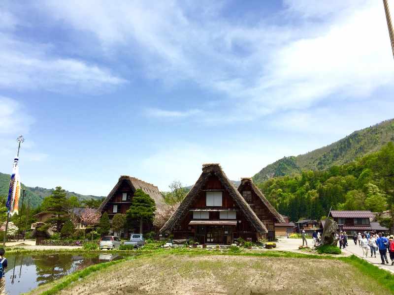 Shirakawago Day Trip: Private Shirakawago Day Trip from Takayama