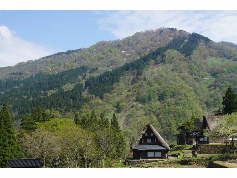 Shirakawago Day Trip: Private Shirakawago Day Trip from Takayama