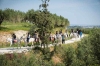 Crete Horse Riding: 5-hour Finikia Horse Riding Day Tour with Lunch