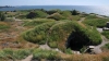 Suomenlinna Tour: 6-hour Suomenlinna Walking Tour from Helsinki