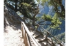 Samaria Gorge Hike: Full-day Samaria Gorge Hiking Tour from Chania