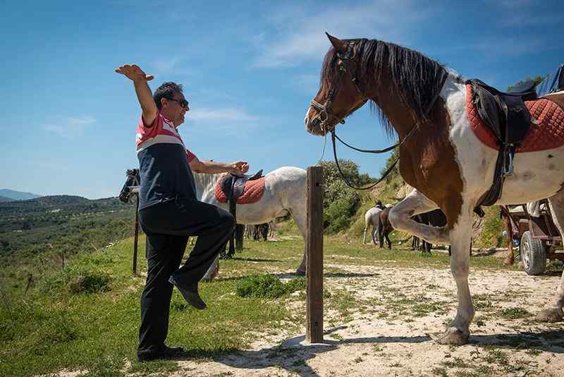 Crete Horse Riding: 5-hour Finikia Horse Riding Day Tour with Lunch