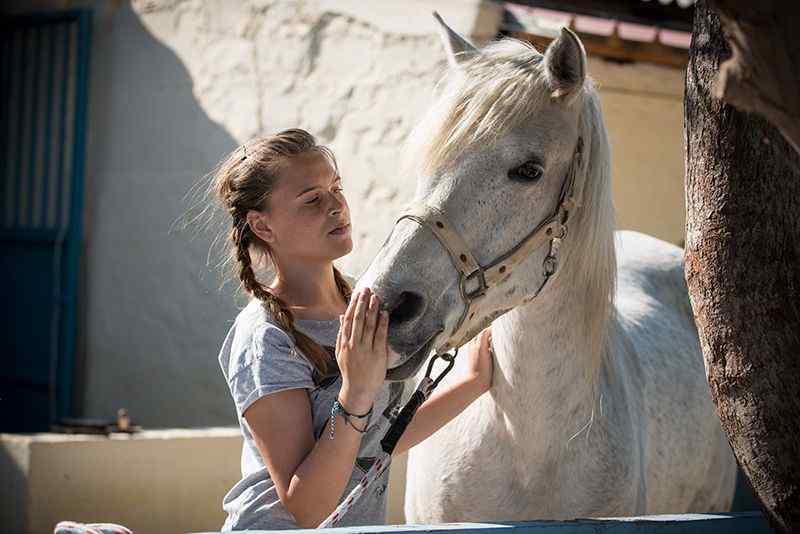 Crete Horse Riding: 5-hour Finikia Horse Riding Day Tour with Lunch