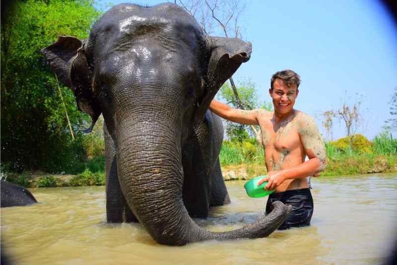 Chiang Mai Elephant Sanctuary Tour