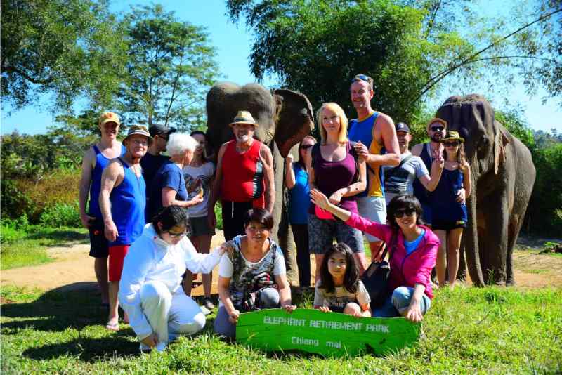 Elephant Sanctuary Tour: Full-day Elephant Sanctuary Tour from Chiang Mai 