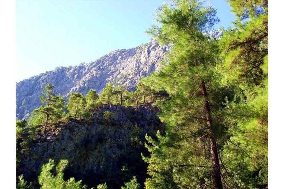 Rethymno to Samaria Gorge: Full-day Rethymno to Samaria Gorge Hiking Tour 