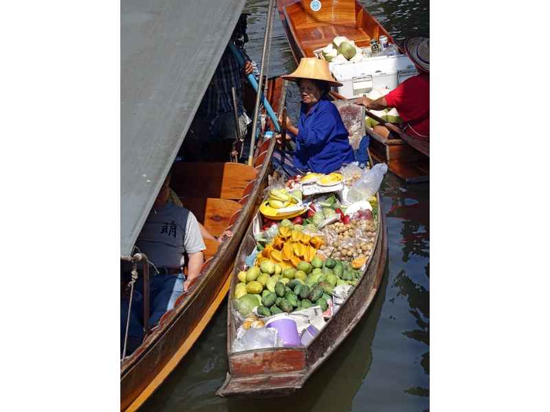 Damnoen Saduak Floating Market: 6-hour-Damnoen Saduak Floating Market Private Tour from Bangkok