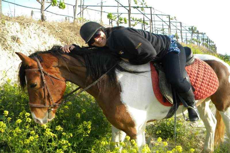 Crete Horse Riding: 5-hour Finikia Horse Riding Day Tour with Lunch