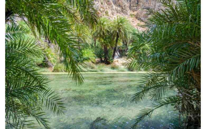 Crete Hiking Tour: Preveli Palm Forest & Kourtaliotis River Private Hiking Tour 