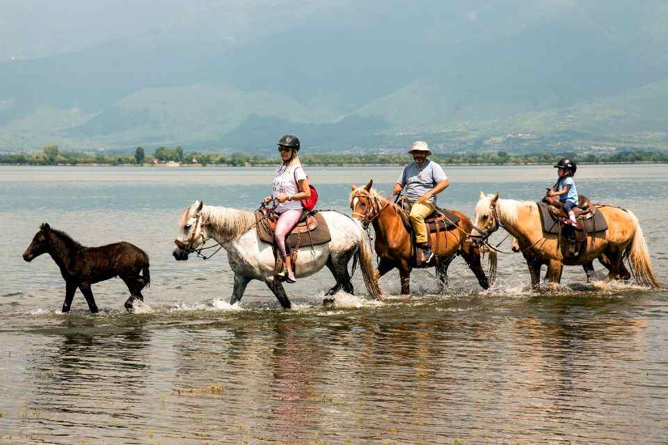 Lake Kerkini: 2-hour Lake Kerkini Horse Riding Tour