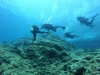 Greece Diving: 3-hour Discover Scuba Diving Class in Kythnos Island