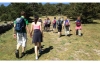 Madrid Hiking: 5-hour Hiking Tour in Guadarrama National Park near Madrid with Transfers