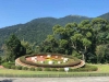 Yangmingshan Day Tour: 4-hour Yangmingshan National Park & Hot-Spring Tour