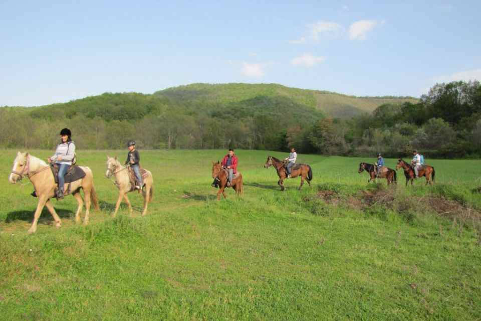 Lake Kerkini: 2-hour Lake Kerkini Horse Riding Tour