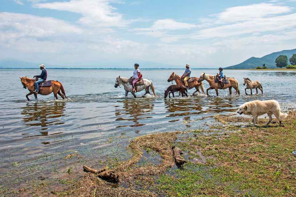 Lake Kerkini: 2-hour Lake Kerkini Horse Riding Tour