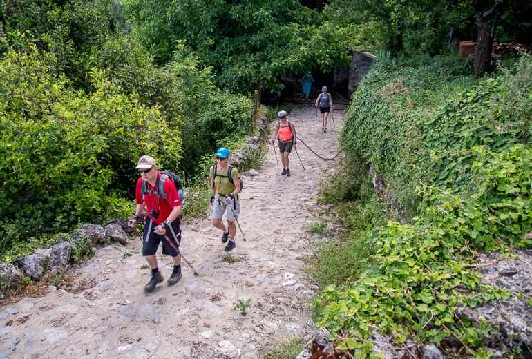  Kalamata Hiking: Half-day Kalamata Hiking Tour to Mount Kalathi