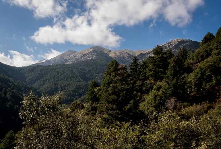 Taygetos Hiking: Full-day Hiking Mount Taygetos Summit from Sparta