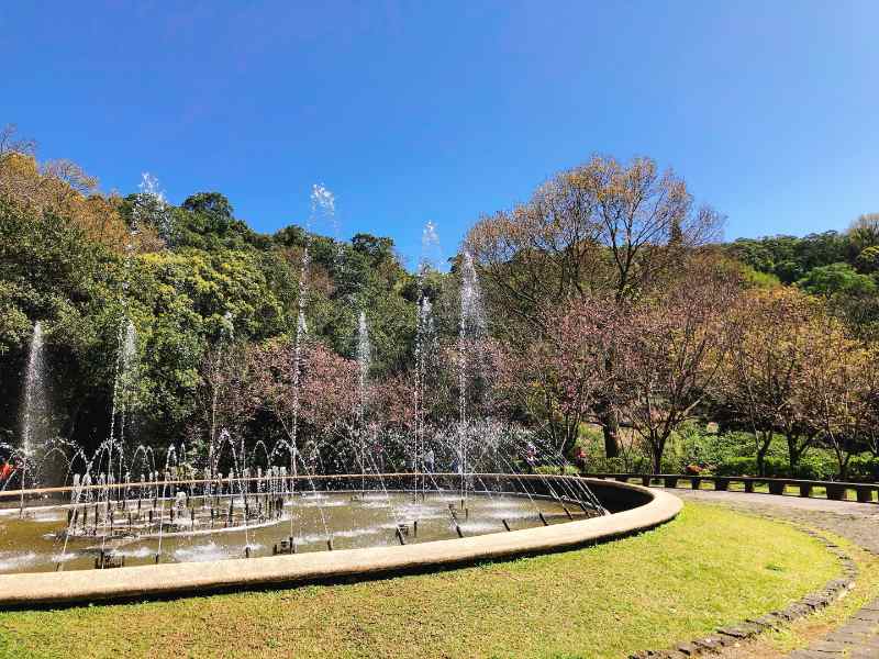 Yangmingshan Day Tour: 4-hour Yangmingshan National Park & Hot-Spring Tour