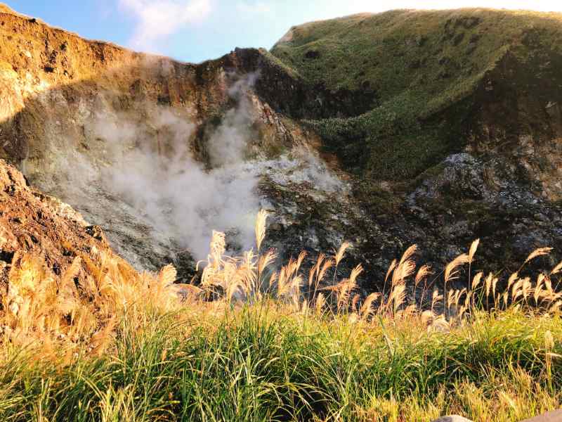 Yangmingshan Day Tour: 4-hour Yangmingshan National Park & Hot-Spring Tour