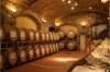 Franciacorta Tour: Full-day Franciacorta Wine-Tasting and Fashion Tour from Milan