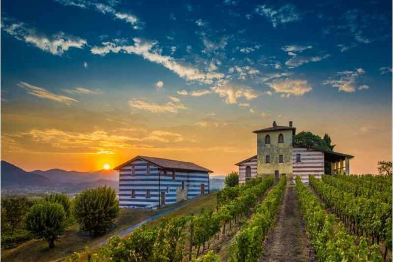 Franciacorta Tour: Full-day Franciacorta Wine-Tasting and Fashion Tour from Milan