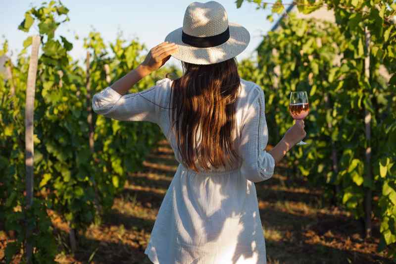 Franciacorta Tour: Full-day Franciacorta Wine-Tasting and Fashion Tour from Milan