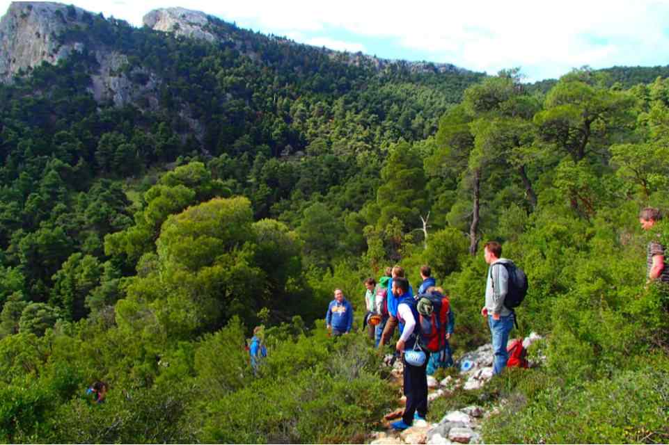 Athens Hiking: Parnitha National Park Hiking Tour from Athens