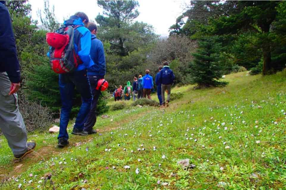 Athens Hiking: Parnitha National Park Hiking Tour from Athens