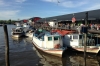 Buenos Aires Tour: Half-day Tigre City & Parana Delta Boat Tour from Buenos Aires