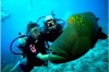 Kusadasi Scuba Diving: 6-hour Scuba Diving Class for Beginners from Kusadasi