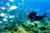 Kusadasi Scuba Diving: 6-hour Scuba Diving Class for Beginners from Kusadasi