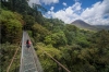 Arenal National Park: 3-hour Hanging Bridges La Fortuna Small Group Tour