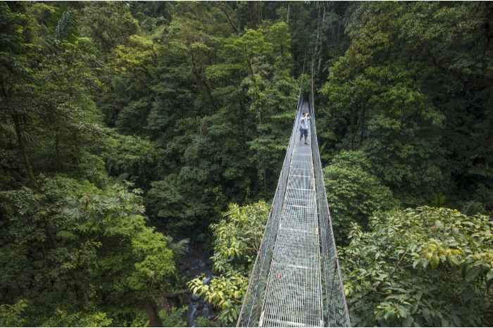 Arenal National Park: 3-hour Hanging Bridges La Fortuna Small Group Tour