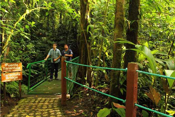 Arenal National Park: 3-hour Hanging Bridges La Fortuna Small Group Tour