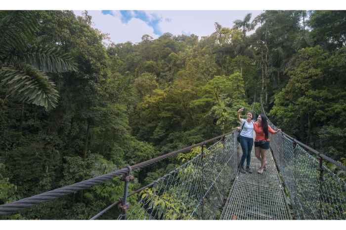 Arenal National Park: 3-hour Hanging Bridges La Fortuna Small Group Tour