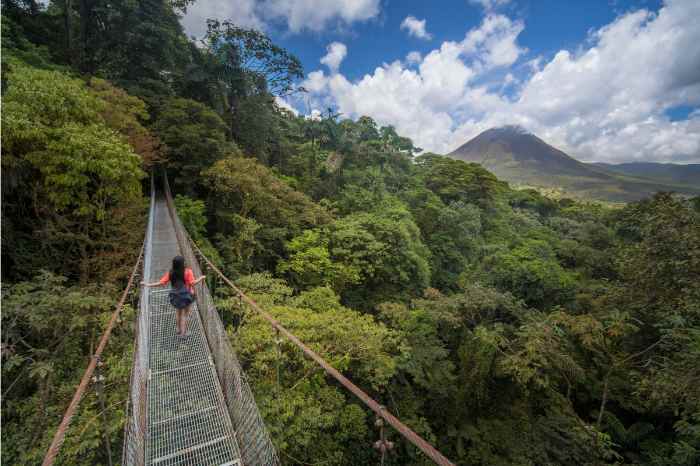 arenal volcano hanging bridges tour