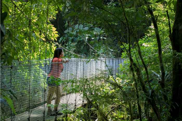 Arenal National Park: 3-hour Hanging Bridges La Fortuna Small Group Tour