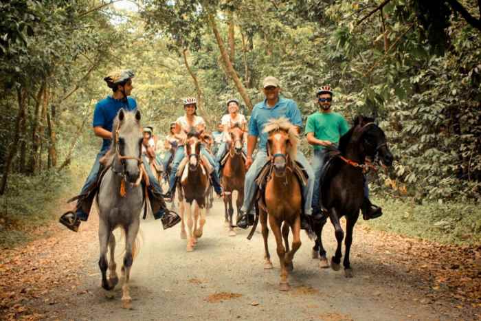 Samana Tour: Full-Day Samana Tour By Plane from Punta Cana