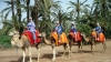 Marrakech Quad: 3-hour Quad & Camel Ride Tour near Marrakech 