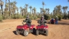 Marrakech Quad: 3-hour Quad & Camel Ride Tour near Marrakech 