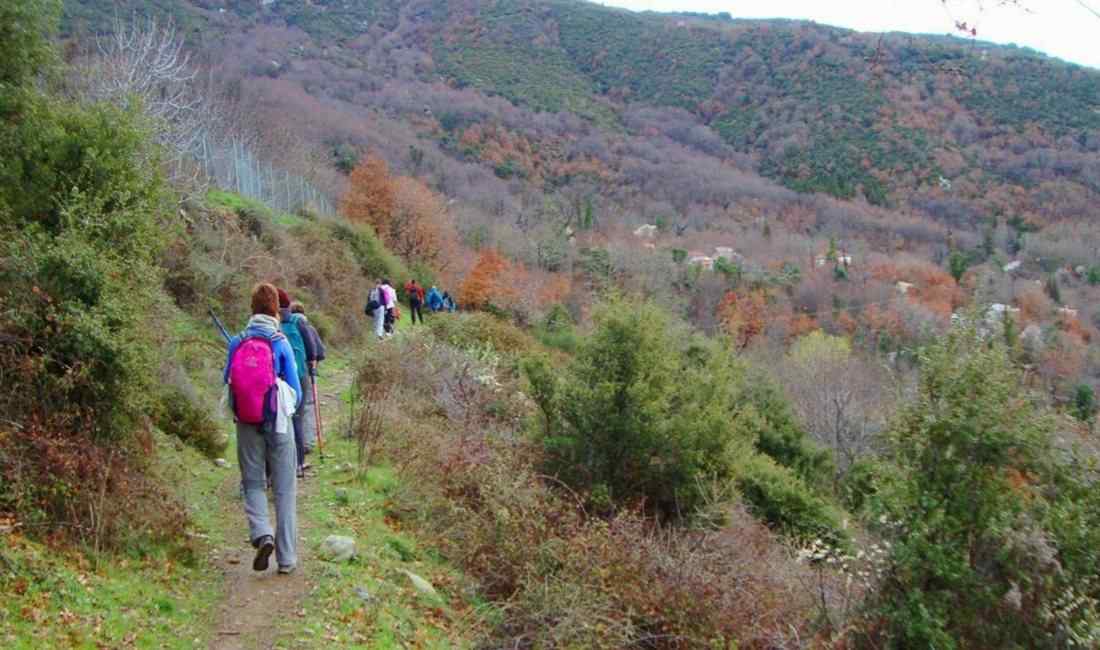 Pelion Hiking: Mount Pelion Herbs and Flowers Hiking Tour 