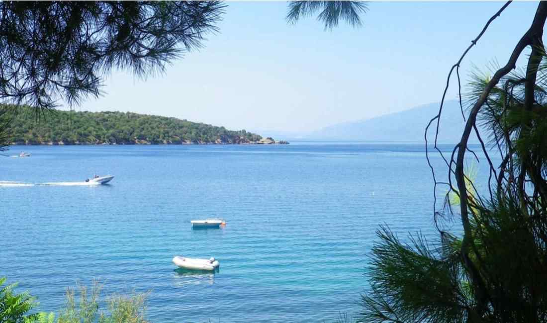 Pelion Hiking: Mount Pelion Herbs and Flowers Hiking Tour 