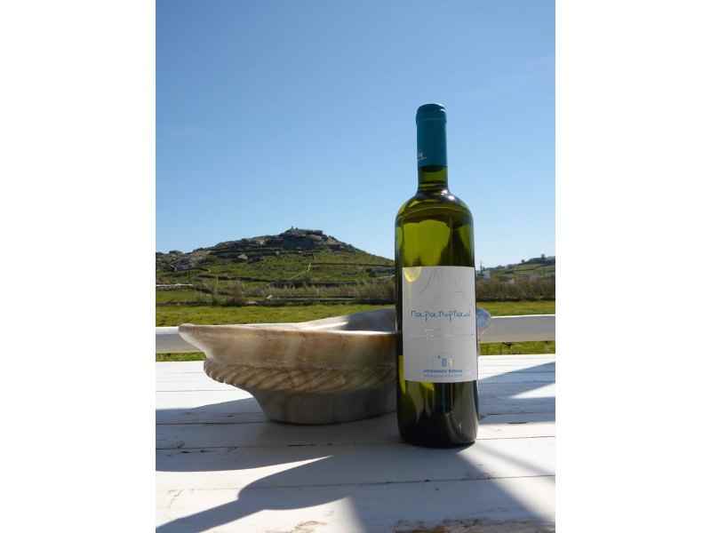 Mykonos Vineyard Free Tour