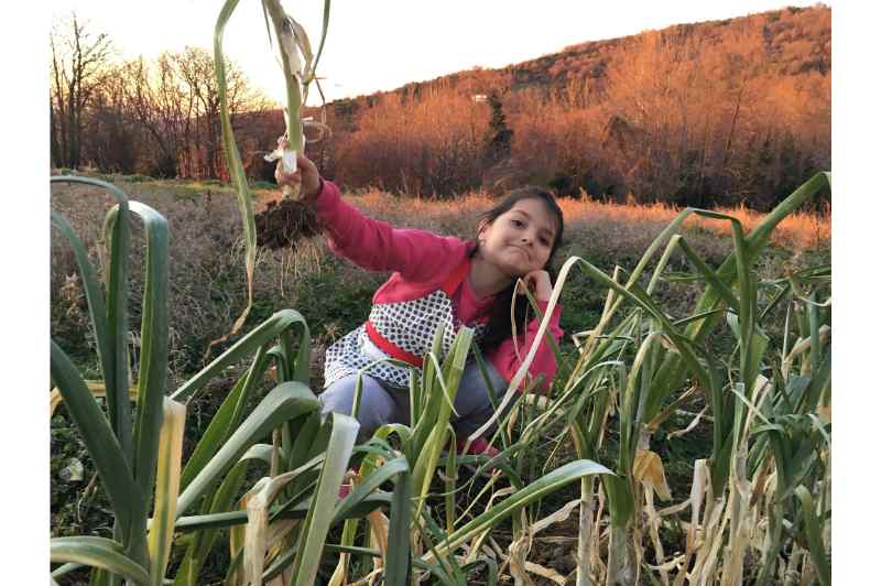 Pelion Cooking Class: Half-day Organic Farm Experience & Cooking Class in Pelion