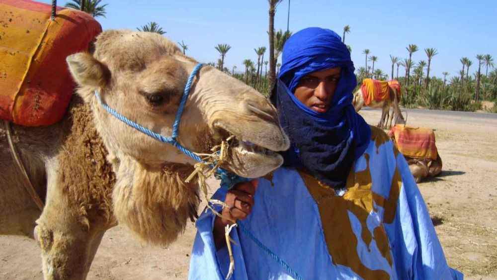 Marrakech Quad: 3-hour Quad & Camel Ride Tour near Marrakech 