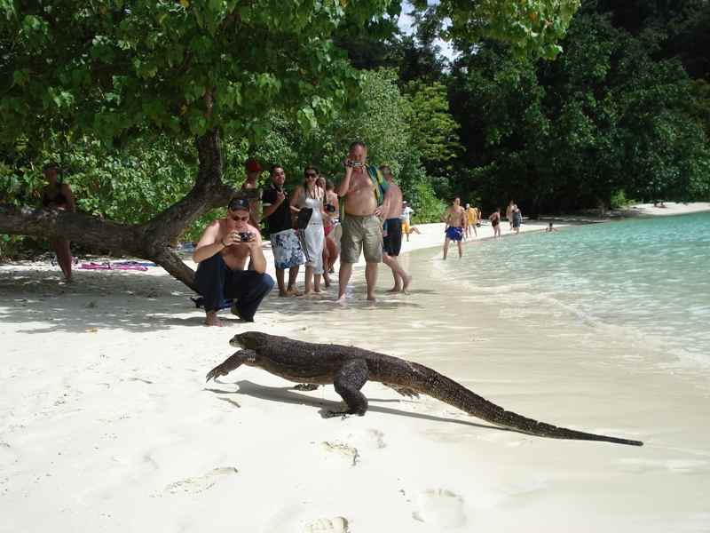 Phuket Boat Tour: Full-Day Phang Nga Bay Cruise 