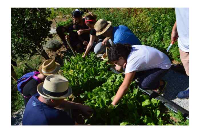 Pelion: 3-hour Pelion Cooking Class for Vegetarians