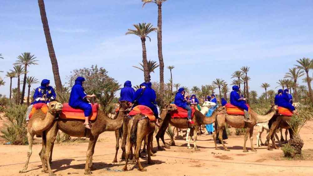 Marrakech Quad: 3-hour Quad & Camel Ride Tour near Marrakech 